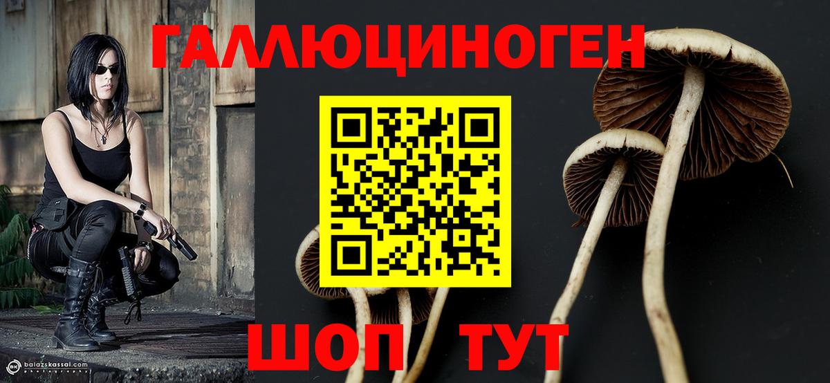 Псилоцибиновые грибы мухоморы Нижнеудинск