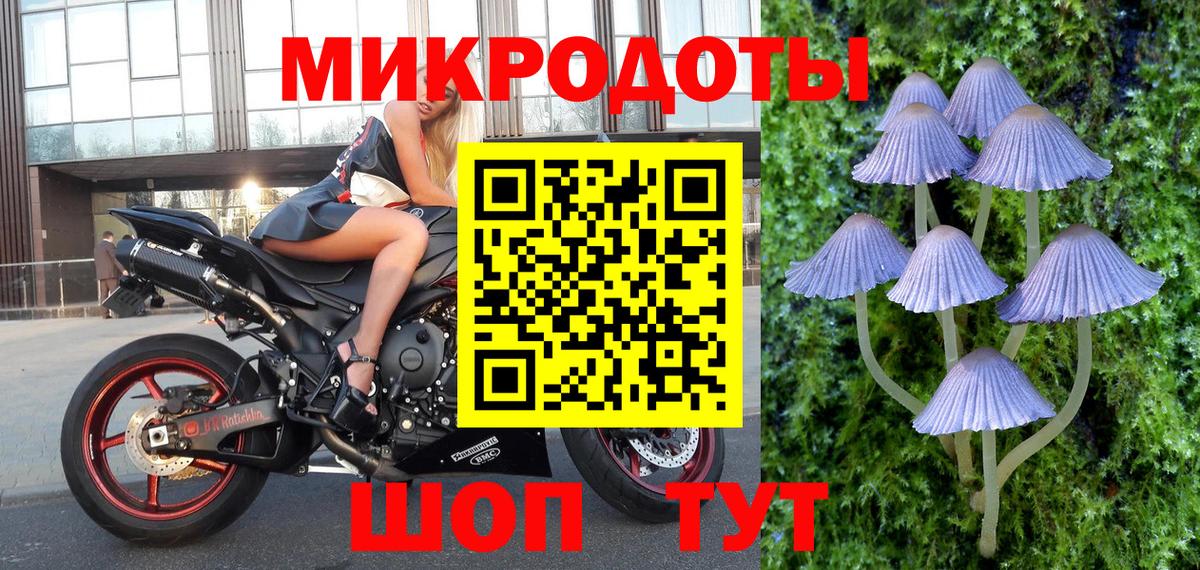 Нижнеудинск  Галлюциногенные грибы MAGIC MUSHROOMS  купить  цена  Вход с VPN  Псилоцибиновые грибы GOLDEN TEACHER 
